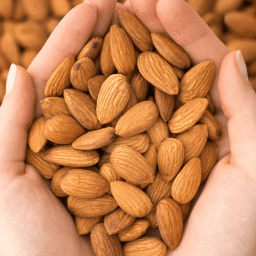 Almond Kernel_ Almond Kernel | مغز بادام