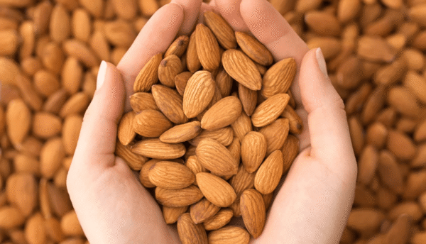 Almond Kernel  |  مغز بادام