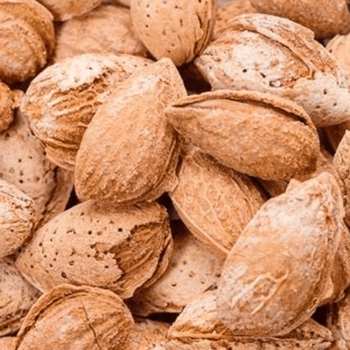 Almond in Shell_ Almond in Shell | بادام کاغزی