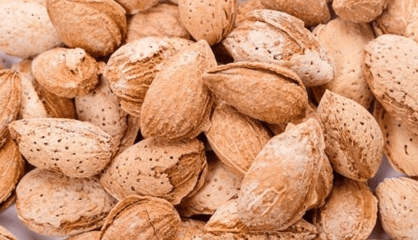 Almond in Shell  |  بادام کاغزی