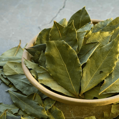 Bay Leaves Bay Leaves