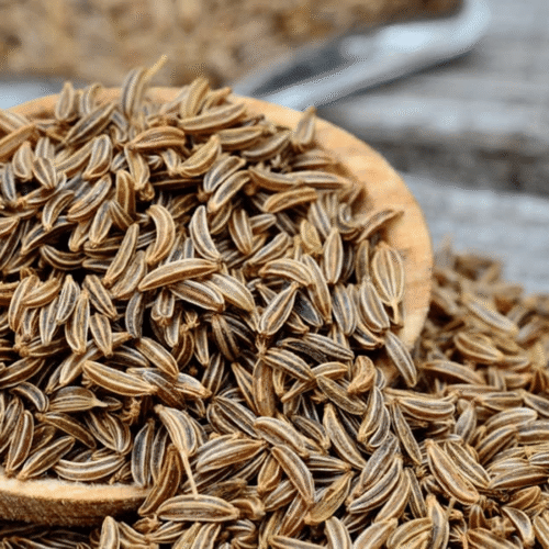 Caraway Seeds_ Caraway Seeds