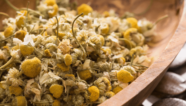 Chamomile