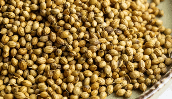 Coriander Seeds