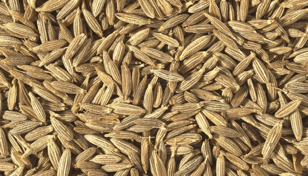 Cumin Seeds (Zeera)