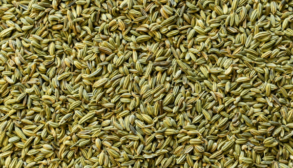 Fennel Seeds