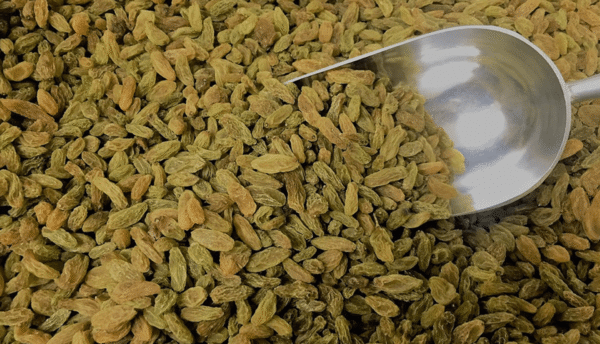 Green Raisins  |  کشمش سبز شنگل خانی