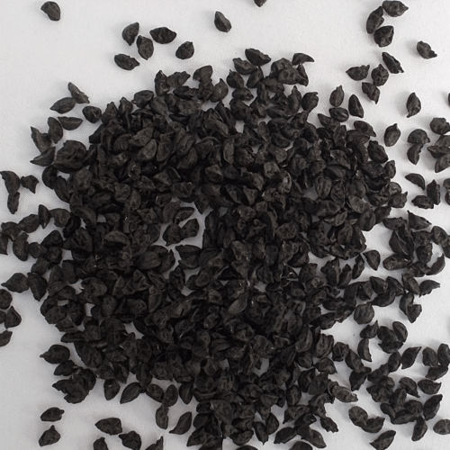 Leek seeds Leek Seeds