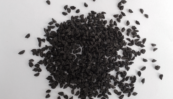 Leek Seeds