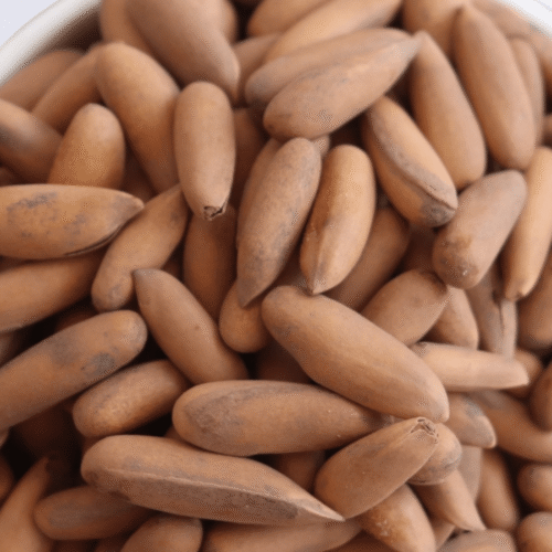 Pine Nuts  |  جلغوزه