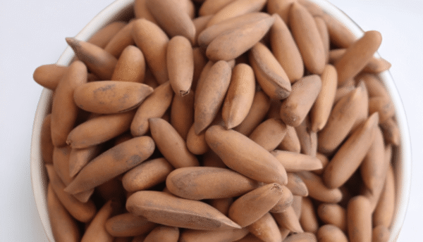 Pine Nuts  |  جلغوزه