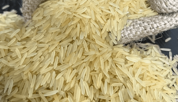 Rice Sella (1121,1509,1718)