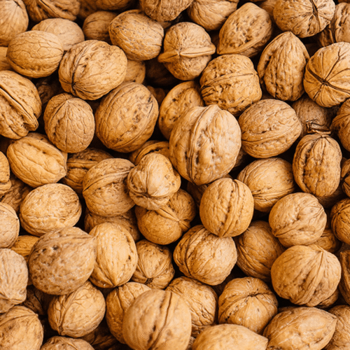 Walnut