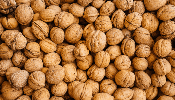 Walnut