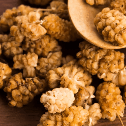 White Mulberry (Khodi)  |  توت سفید