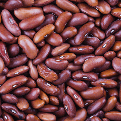Red Lobya — Beans