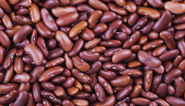 Red Lobya — Beans