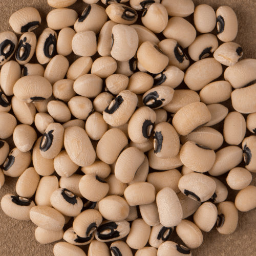 White Lobya — Beans