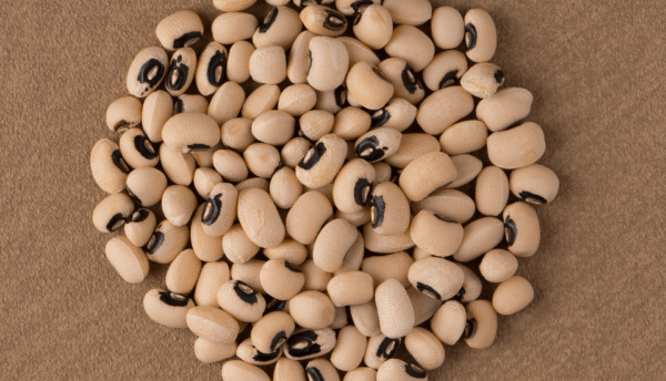 White Lobya — Beans