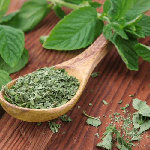 اMint (Dried)_ Mint Dried