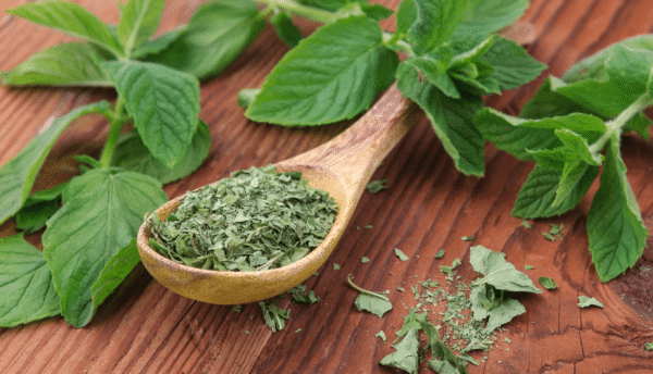 Mint Dried