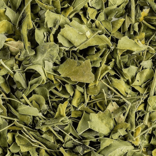 اMoringa Leaves_ Moringa Leaves
