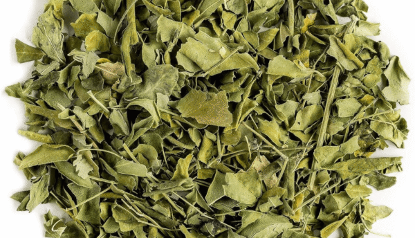 Moringa Leaves